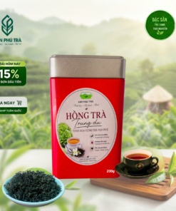 VẠN PHÚ HỒNG TRÀ TIẾN VUA